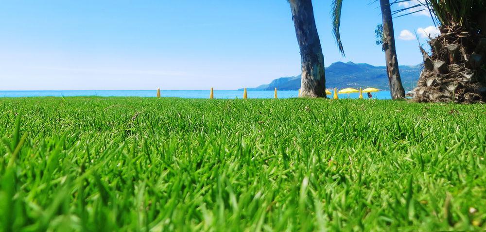 Hotel Eden Park Cilento Ispani Exteriér fotografie
